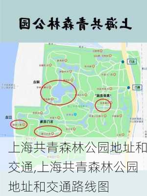 上海共青森林公园地址和交通,上海共青森林公园地址和交通路线图