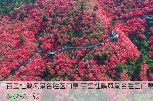 百里杜鹃风景名胜区门票,百里杜鹃风景名胜区门票多少钱一张