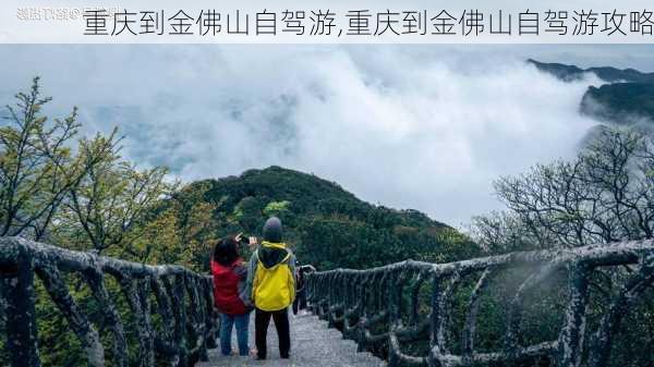 重庆到金佛山自驾游,重庆到金佛山自驾游攻略