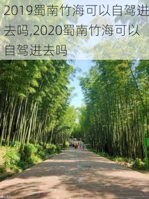 2019蜀南竹海可以自驾进去吗,2020蜀南竹海可以自驾进去吗