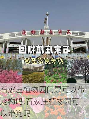 石家庄植物园门票可以带宠物吗,石家庄植物园可以带狗吗