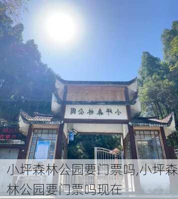 小坪森林公园要门票吗,小坪森林公园要门票吗现在