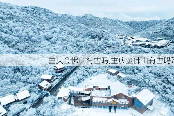 重庆金佛山有雪吗,重庆金佛山有雪吗?