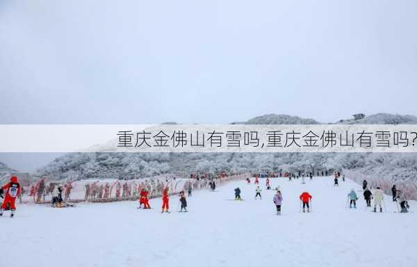 重庆金佛山有雪吗,重庆金佛山有雪吗?