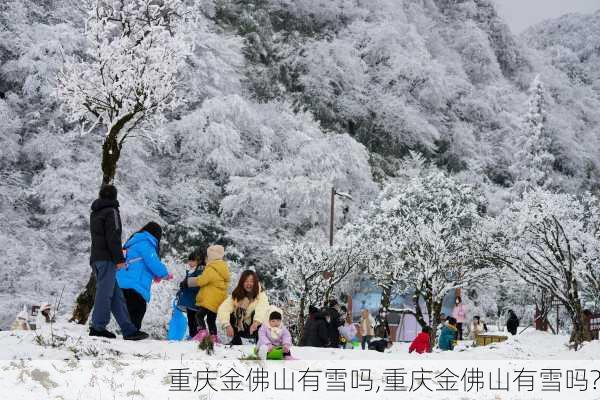 重庆金佛山有雪吗,重庆金佛山有雪吗?