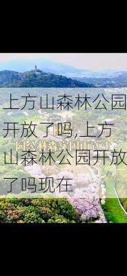 上方山森林公园开放了吗,上方山森林公园开放了吗现在