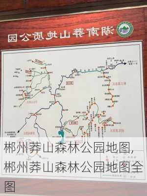 郴州莽山森林公园地图,郴州莽山森林公园地图全图