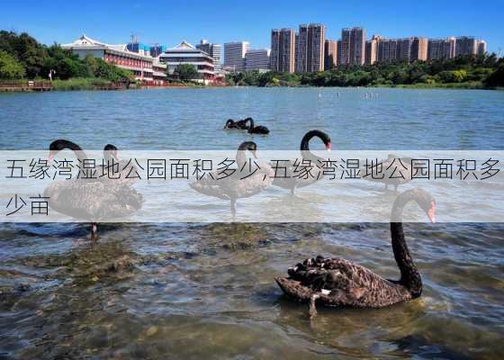 五缘湾湿地公园面积多少,五缘湾湿地公园面积多少亩