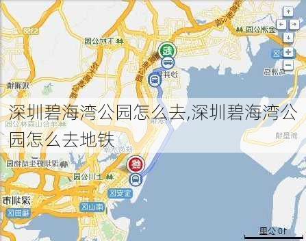 深圳碧海湾公园怎么去,深圳碧海湾公园怎么去地铁