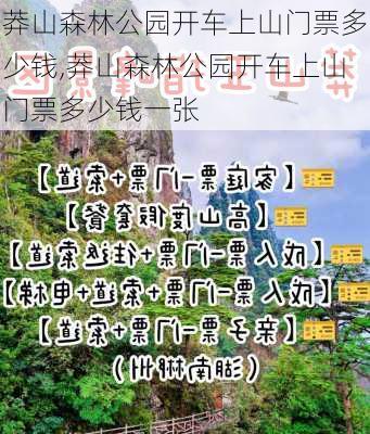 莽山森林公园开车上山门票多少钱,莽山森林公园开车上山门票多少钱一张