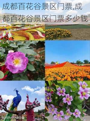 成都百花谷景区门票,成都百花谷景区门票多少钱