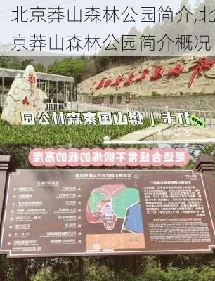 北京莽山森林公园简介,北京莽山森林公园简介概况