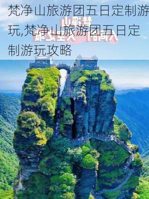 梵净山旅游团五日定制游玩,梵净山旅游团五日定制游玩攻略