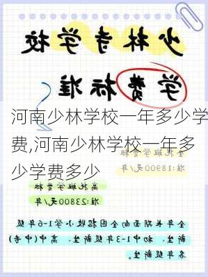 河南少林学校一年多少学费,河南少林学校一年多少学费多少