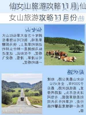 仙女山旅游攻略11月,仙女山旅游攻略11月份