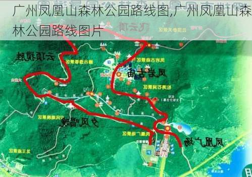 广州凤凰山森林公园路线图,广州凤凰山森林公园路线图片