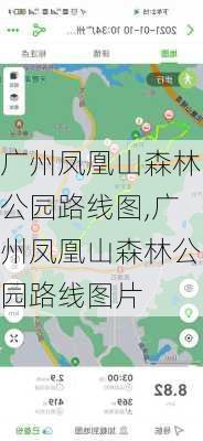 广州凤凰山森林公园路线图,广州凤凰山森林公园路线图片