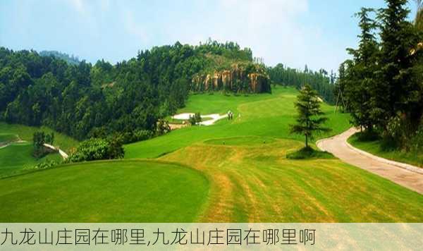 九龙山庄园在哪里,九龙山庄园在哪里啊