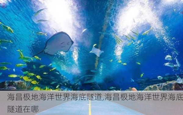 海昌极地海洋世界海底隧道,海昌极地海洋世界海底隧道在哪