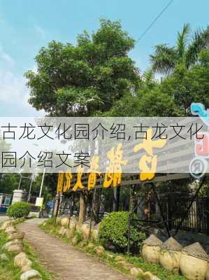 古龙文化园介绍,古龙文化园介绍文案