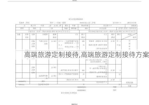 高端旅游定制接待,高端旅游定制接待方案