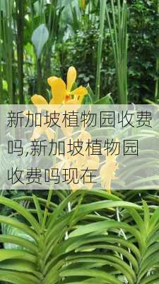 新加坡植物园收费吗,新加坡植物园收费吗现在