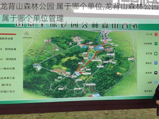 龙背山森林公园 属于哪个单位,龙背山森林公园 属于哪个单位管理