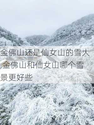 金佛山还是仙女山的雪大,金佛山和仙女山哪个雪景更好些