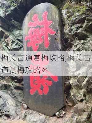 梅关古道赏梅攻略,梅关古道赏梅攻略图