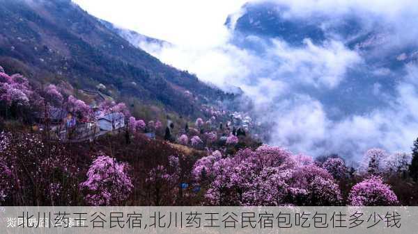 北川药王谷民宿,北川药王谷民宿包吃包住多少钱