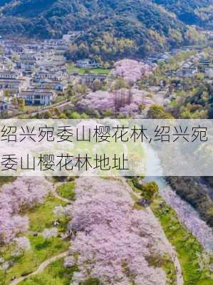 绍兴宛委山樱花林,绍兴宛委山樱花林地址