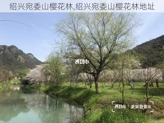 绍兴宛委山樱花林,绍兴宛委山樱花林地址