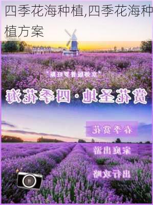 四季花海种植,四季花海种植方案