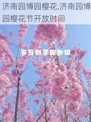 济南园博园樱花,济南园博园樱花节开放时间