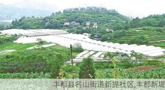 丰都县名山街道新提社区,丰都新堤