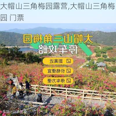 大帽山三角梅园露营,大帽山三角梅园 门票