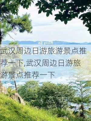 武汉周边日游旅游景点推荐一下,武汉周边日游旅游景点推荐一下