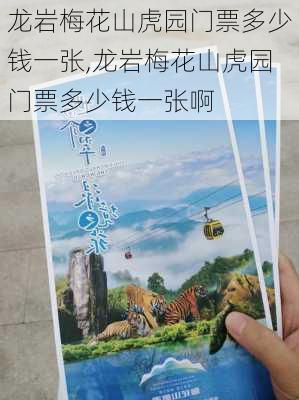 龙岩梅花山虎园门票多少钱一张,龙岩梅花山虎园门票多少钱一张啊