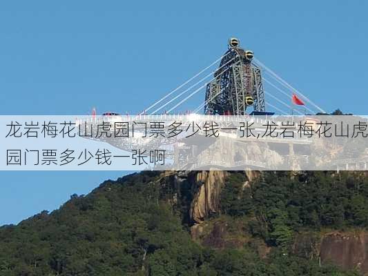 龙岩梅花山虎园门票多少钱一张,龙岩梅花山虎园门票多少钱一张啊