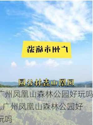 广州凤凰山森林公园好玩吗?,广州凤凰山森林公园好玩吗