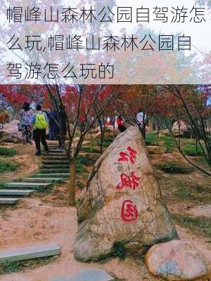 帽峰山森林公园自驾游怎么玩,帽峰山森林公园自驾游怎么玩的