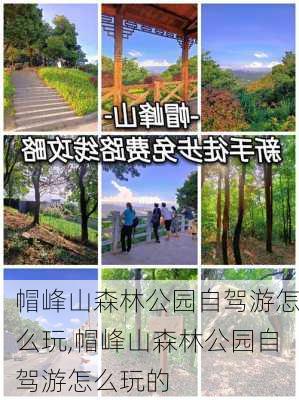 帽峰山森林公园自驾游怎么玩,帽峰山森林公园自驾游怎么玩的