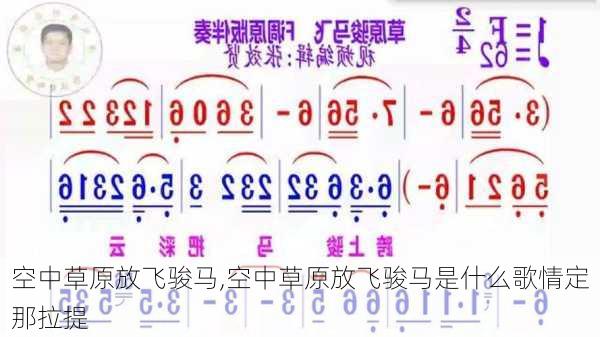 空中草原放飞骏马,空中草原放飞骏马是什么歌情定那拉提