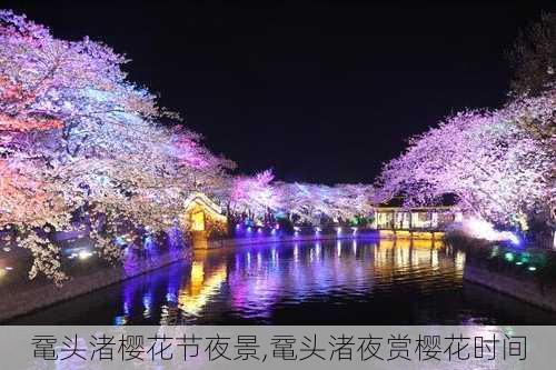 鼋头渚樱花节夜景,鼋头渚夜赏樱花时间