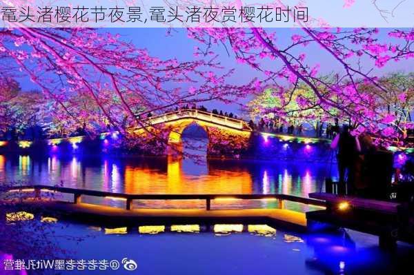 鼋头渚樱花节夜景,鼋头渚夜赏樱花时间