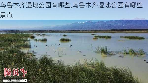 乌鲁木齐湿地公园有哪些,乌鲁木齐湿地公园有哪些景点