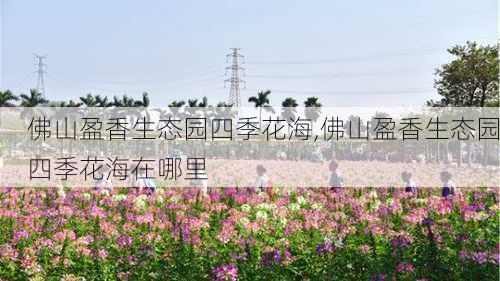 佛山盈香生态园四季花海,佛山盈香生态园四季花海在哪里