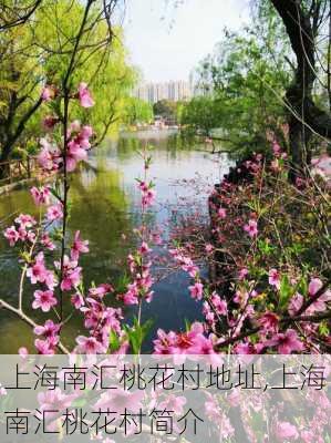 上海南汇桃花村地址,上海南汇桃花村简介