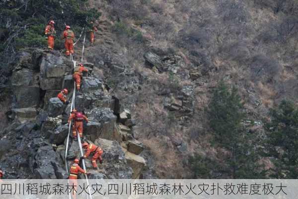 四川稻城森林火灾,四川稻城森林火灾扑救难度极大