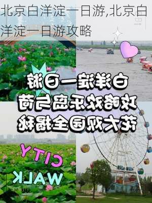 北京白洋淀一日游,北京白洋淀一日游攻略